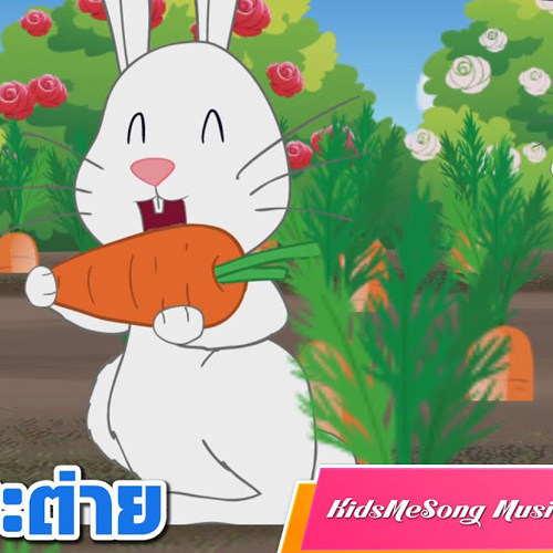 เพลงกระต่าย