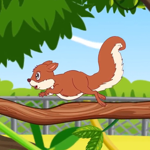 เพลง กระรอก การ์ตูน 2D น่ารักๆ 