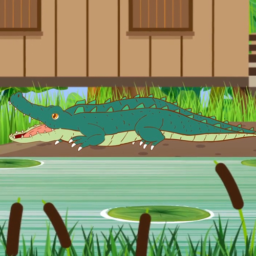 เพลง จระเข้