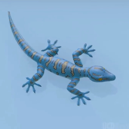 เพลง กล่อมเด็ก ตุ๊กแก