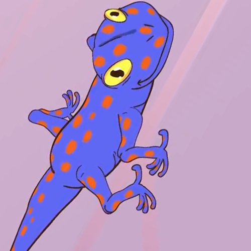 เพลง ตุ๊กแก บอกมา