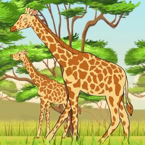 เพลง ยีราฟ คอยาว