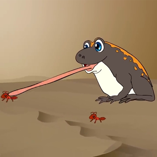 เพลง อึ่งอ่าง