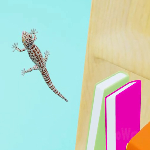 เพลง ตุ๊กแกบอกมา เพลงเด็ก 2565