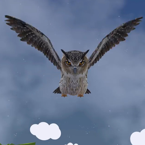 เพลง นกฮูกตาโต