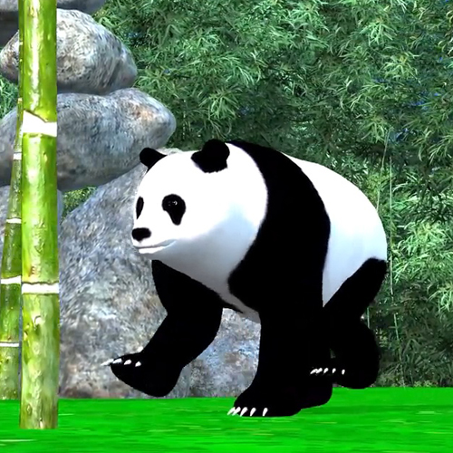 เพลง หมีแพนด้า